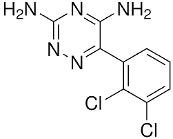 Lamotrigine API manufacturer & supplier